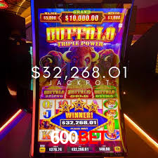 Experiência VIP 600bet